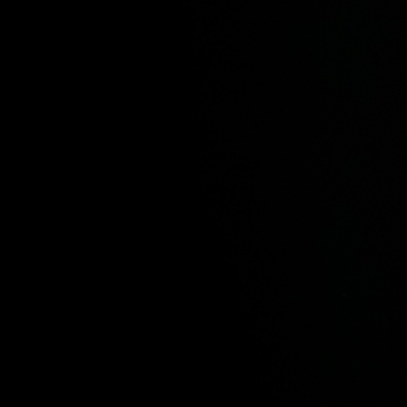 Please ignore listing - Picture 1 of 1